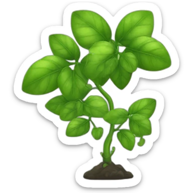 green-plant-liana sticker