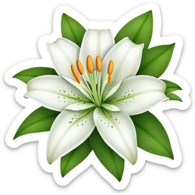 white lily flower with exactly six petals, one flower bud, and green leaves sticker
