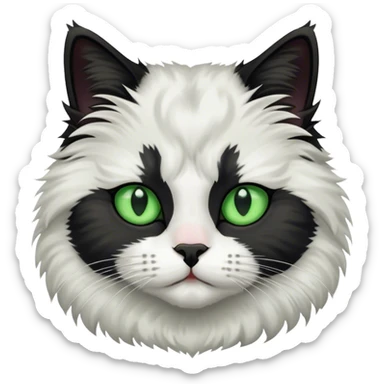 This fluffy cat has a black and white coat with a white face marked by a black patch over the forehead, bright green eyes, and a black nose bridge sticker