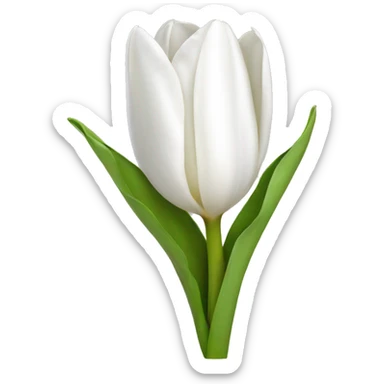 White tulip sticker