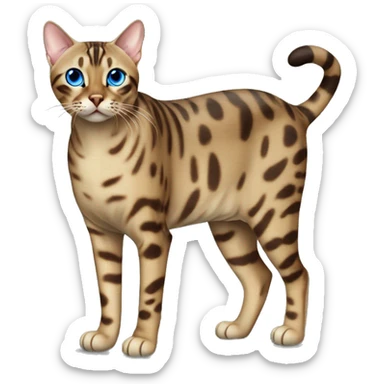 Seal Bengal cat with Blue eyes standing sticker