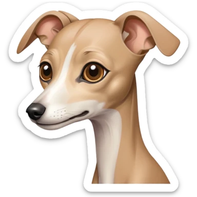 Italian Greyhound sticker