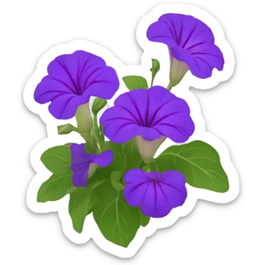 petunia flower sticker