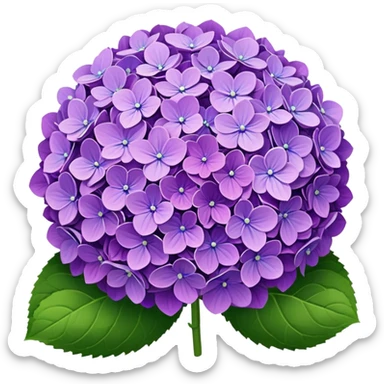 Hydrangea sticker