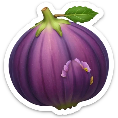 Fig sticker