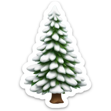  actual white fir christmas tree isolated.  sticker