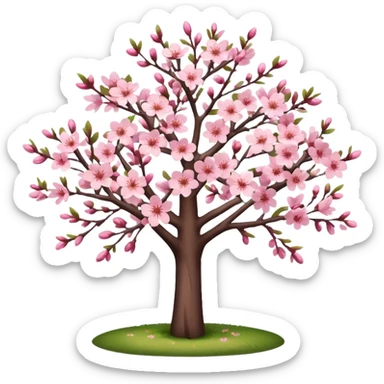 Sakura tree in the garden  sticker
