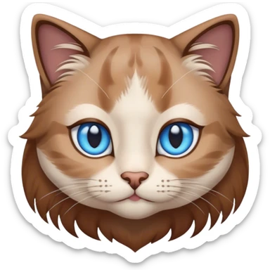 Long Hair cat, blue eyes and brown hair colour on the forehead sticker