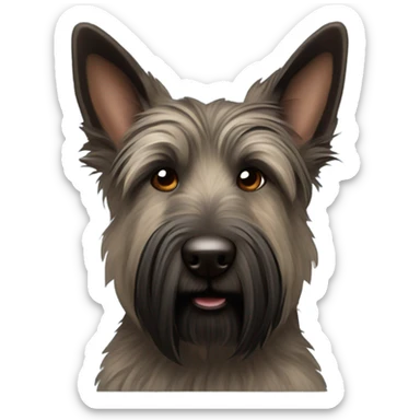Berger picard dark brindle sticker