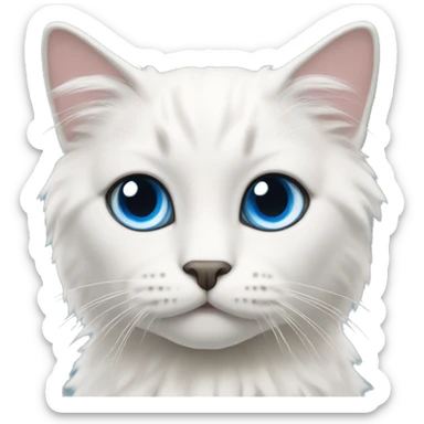 White rag doll cat with blue eyes sticker