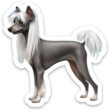 Chinese Crested Dog sticker
