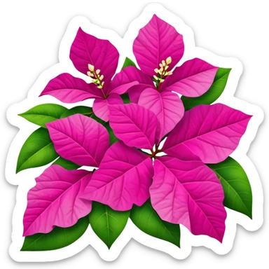 Bougainvillea sticker