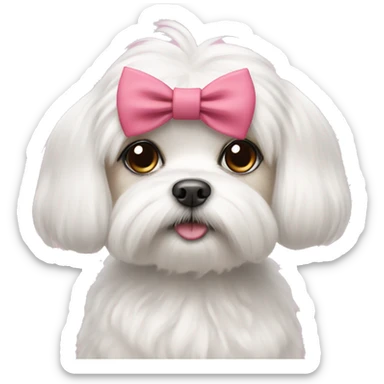 maltese with cute eyelashes and a bow sticker