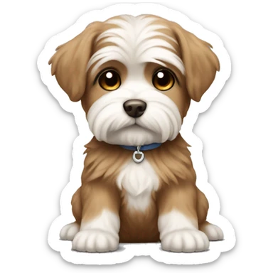 brown maltese puppy, tied hair  sticker