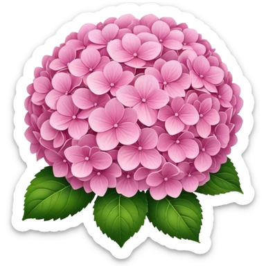 pink hydrangeas  sticker