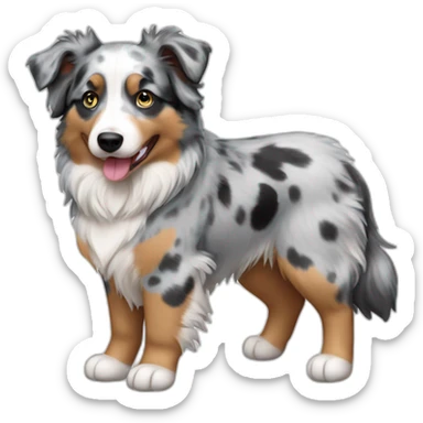 Blue Merle Mini Australian Shepherd sticker