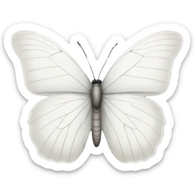 White butterfly  sticker