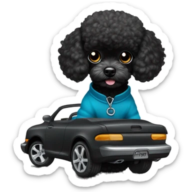 black toy poodle with a black drift car sticker