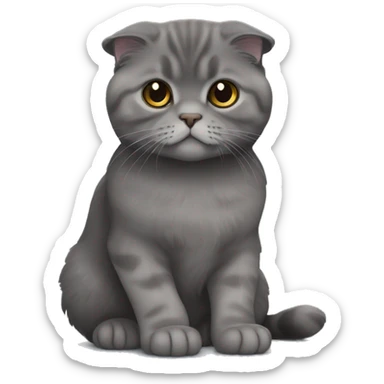 all dark grey Scottish Fold Cat long hair sticker
