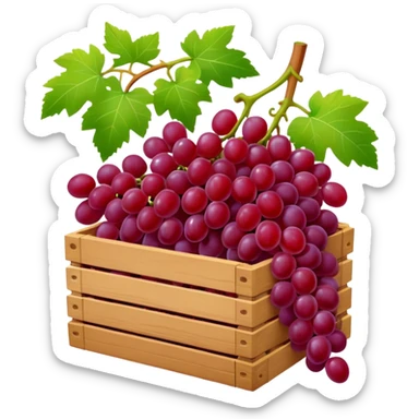wine box with grapes sticker