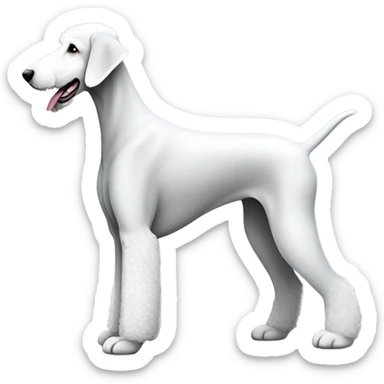 white beddlington terrier from the side pov sticker