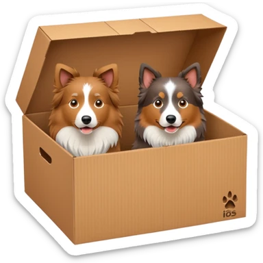 Shetland sheepdog and Australian shepherd in a box sticker