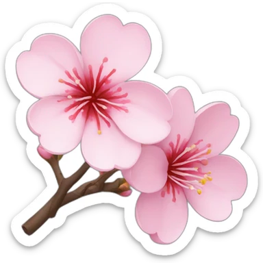 sakura flower sticker