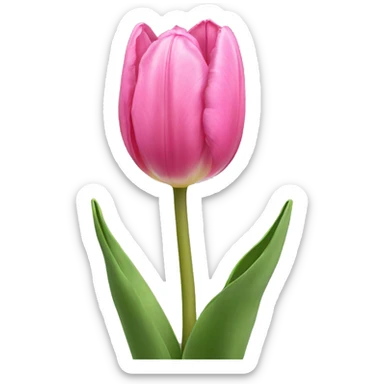Pink tulip sticker