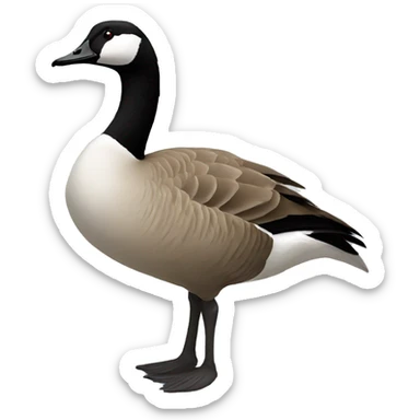 Canadian goose sticker