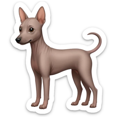 No. 2 Jaguar grown four legs/ No.2 Mexican Hairless Dog sticker