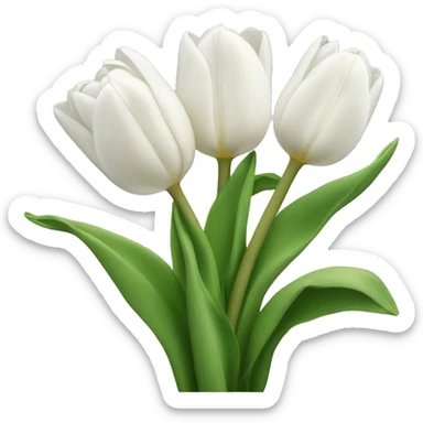 White tulips sticker