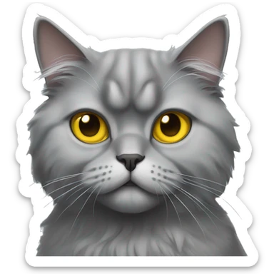 Gray persian cat with yellow eyes sticker