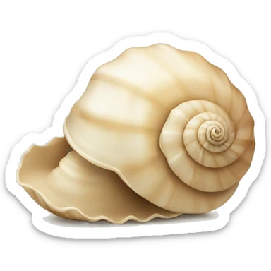 Shell beige  sticker