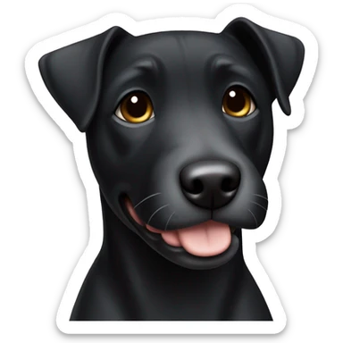 A black Patterdale Terrier dog with a white patch on its chest and brown eyes. sticker