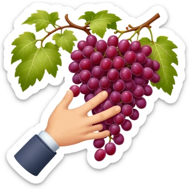 red grapes, harvest with hand sticker