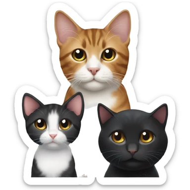 a black tuxedo cat, a brown tabby cat, and a black kitten  sticker