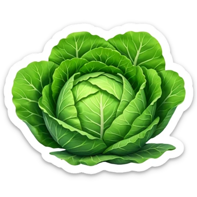 cabbage leaf only one leaf  sticker