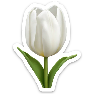 White tulips  sticker