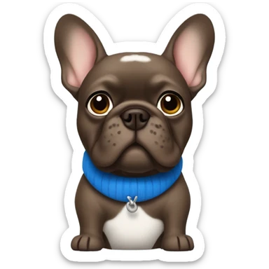 dark brown frenchie, blue collar and fleece sticker