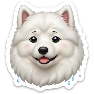A Samoyed dog crying with tears running down its face  sticker