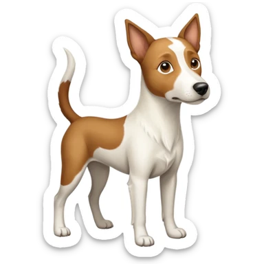 a full body large white parson russell looking dog the size of a kelpie with light brown ears and a light brown patch on one eye and a large snout sticker