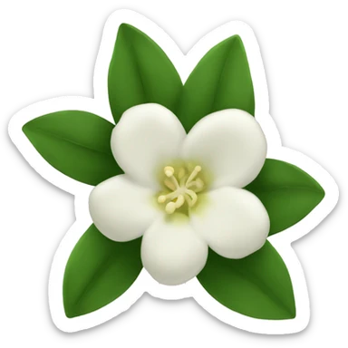 Night Jasmine flower sticker