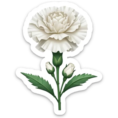 White Carnation two flower sticker