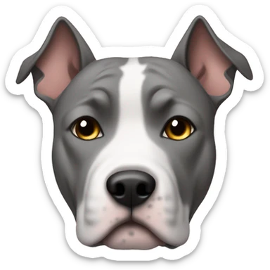 Gray amstaff with a white list sticker