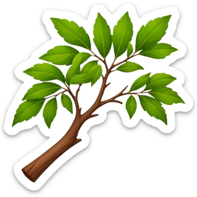 bois de santal, a stylized sandalwood tree branch with green leaves, no text sticker