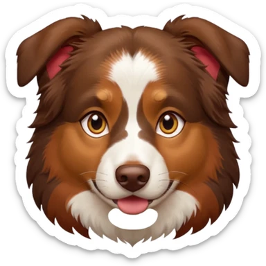 A tri color Australian shepherd with a chocolate brown base coat, red/gold fur on his eyebrows and snout/cheeks, a white chest, and gold eyes sticker