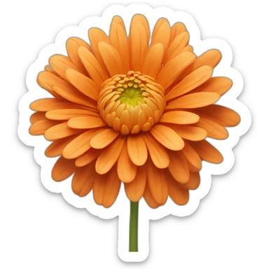 chrysanthemum orange color sticker