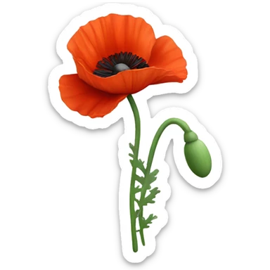 poppy flower  sticker