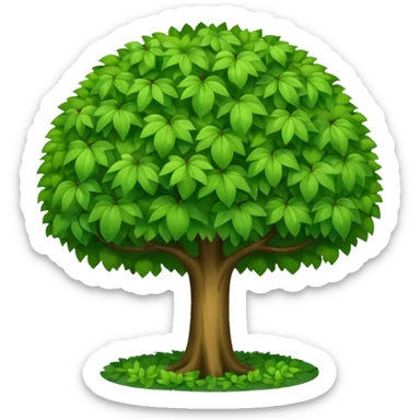 broad leafy tree rounded canopy sticker