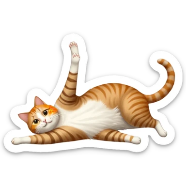 brown tabby and white cat with doing a big extremely long stretch reaching up into the air with arms and legs side by side together straight and overextended whilst lying on its side sticker